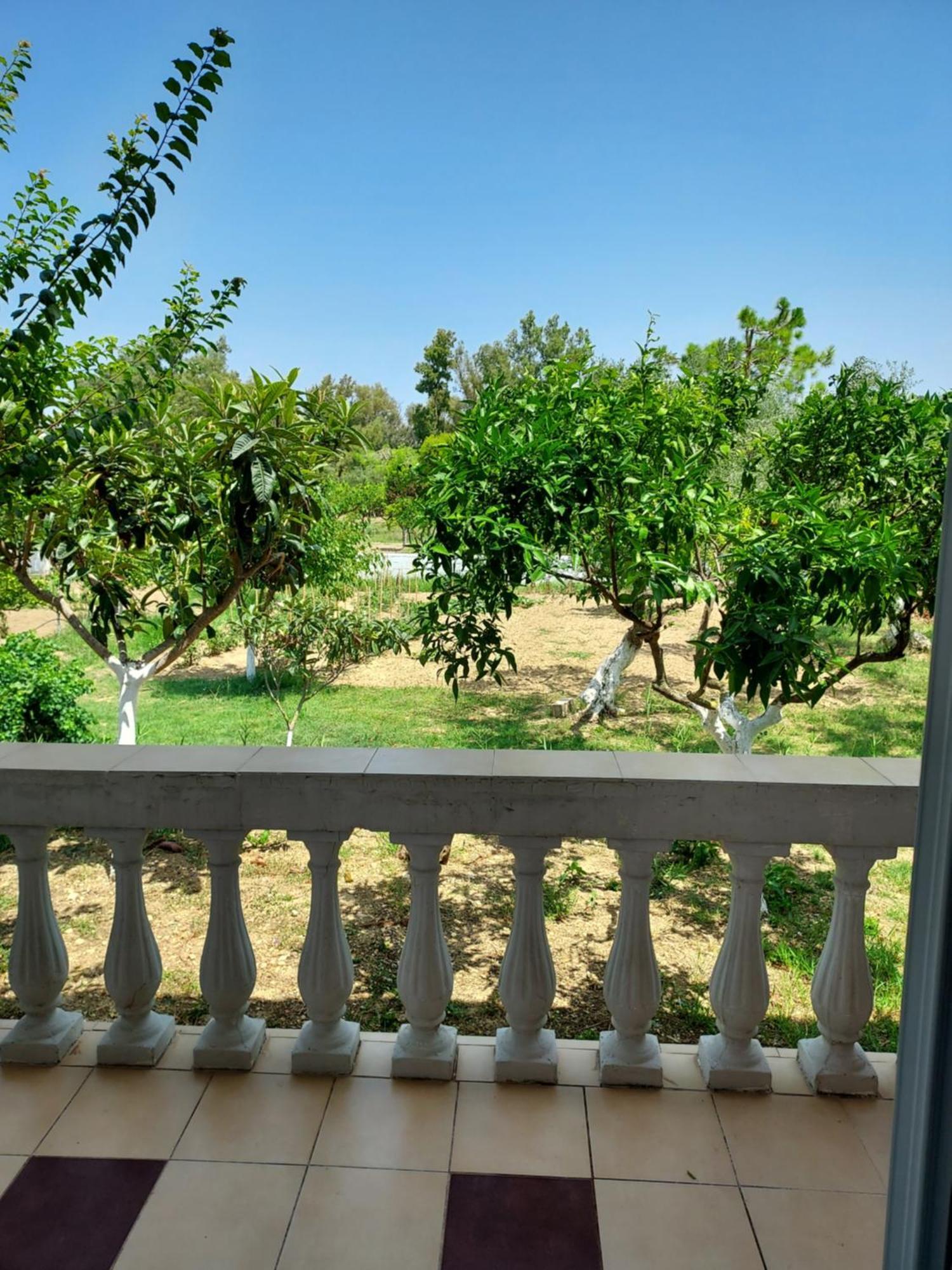 טסיליבי Canditas Studios מראה חיצוני תמונה